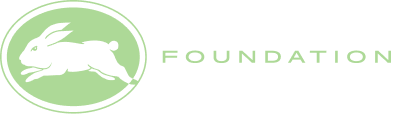 FOUNDATION